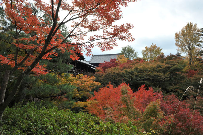 DSC_0750_Kyoto_Tofukuji