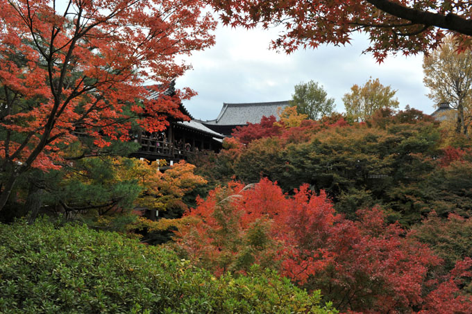 DSC_0756_Kyoto_Tofukuji