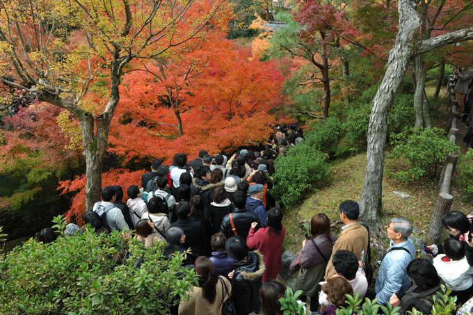DSC_0786_Kyoto_Tofukuji