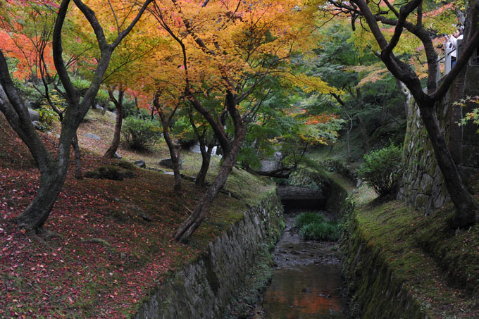 DSC_0849_Kyoto_Tofukuji