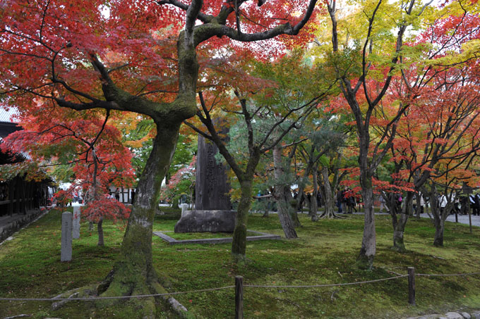DSC_0890_Kyoto_Tofukuji