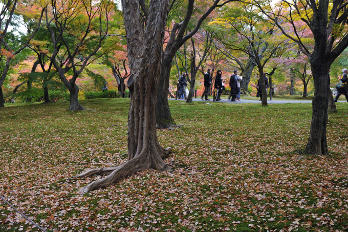 DSC_0914_Kyoto_Tofukuji