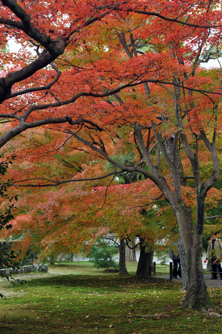 DSC_0918a_Kyoto_Tofukuji