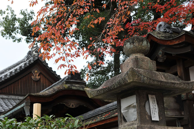 DSC_0979_Kyoto_FushimiInariShrine