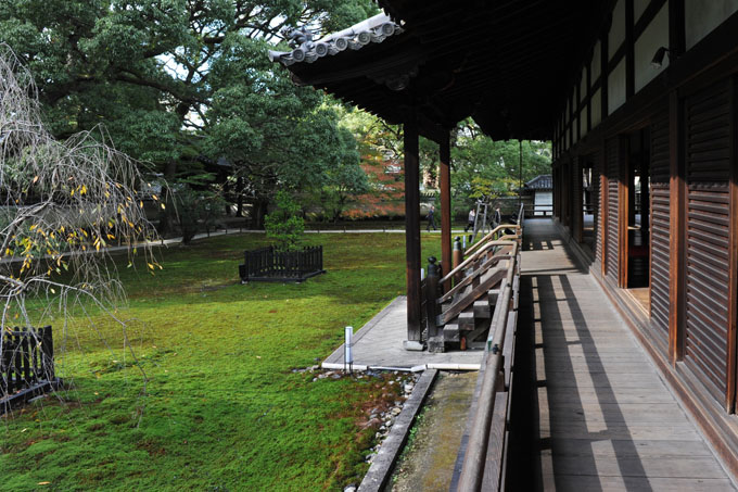 DSC_1200_Kyoto_Shoren-in