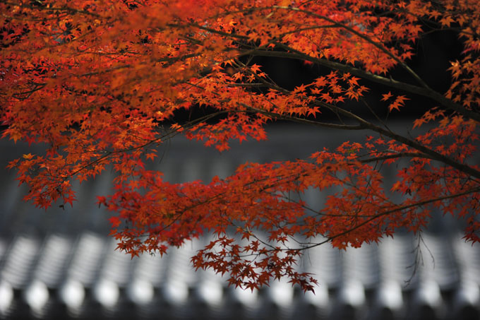 DSC_1231_Kyoto_Nanzenji