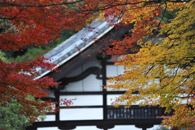DSC_1239_Kyoto_Nanzenji