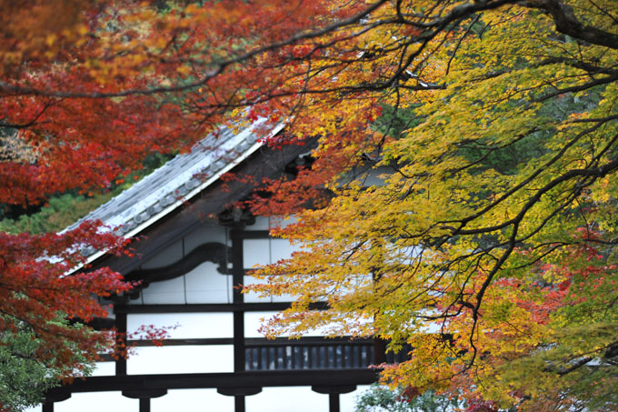 DSC_1240_Kyoto_Nanzenji