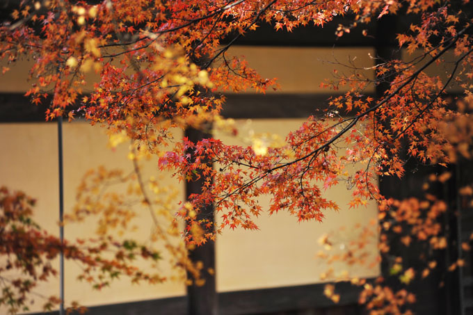 DSC_1244_Kyoto_Nanzenji
