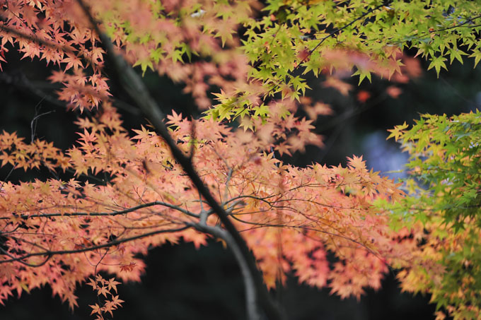 DSC_1263_Kyoto_Nanzenji