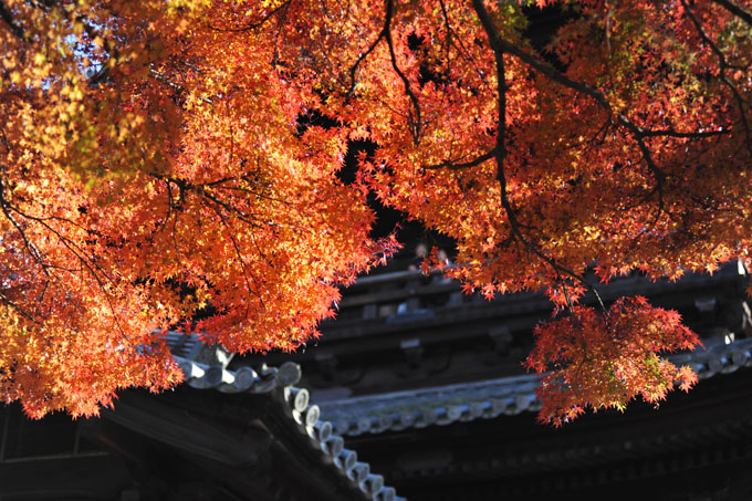 DSC_1303_Kyoto_Nanzenji