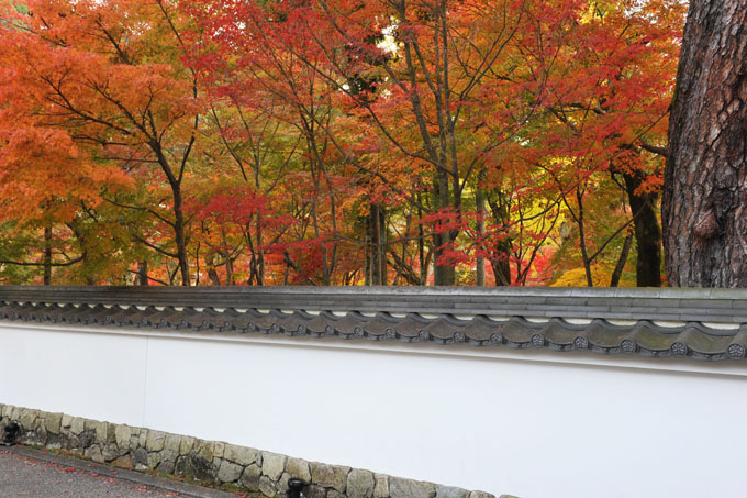 DSC_1309_Kyoto_Eikando-Zenrinji