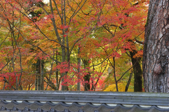 DSC_1310_Kyoto_Eikando-Zenrinji