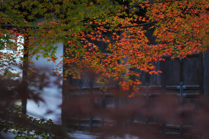 DSC_1334_Kyoto_Eikando-Zenrinji