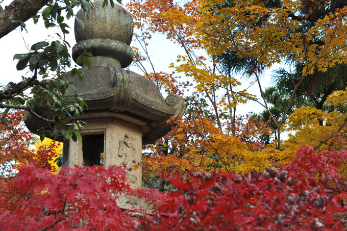DSC_1361_Kyoto_Eikando-Zenrinji