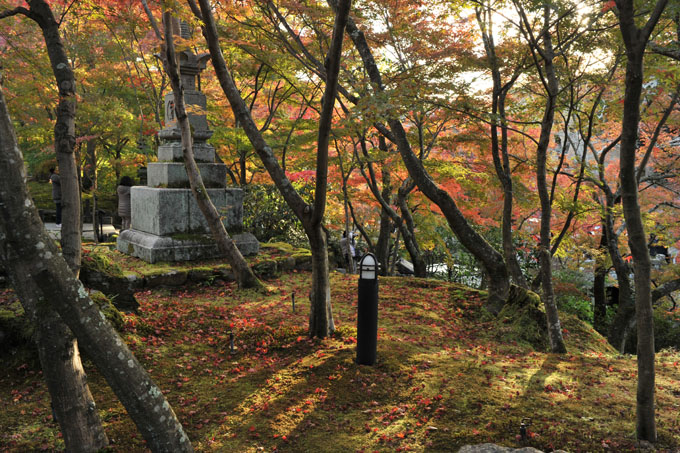 DSC_1385_Kyoto_Eikando-Zenrinji