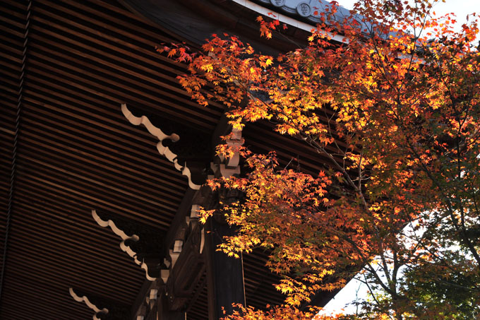 DSC_1390_Kyoto_Eikando-Zenrinji