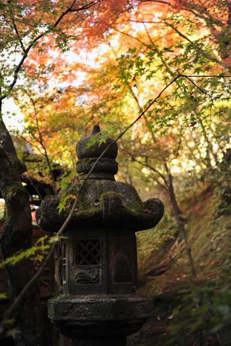 DSC_1391_Kyoto_Eikando-Zenrinji