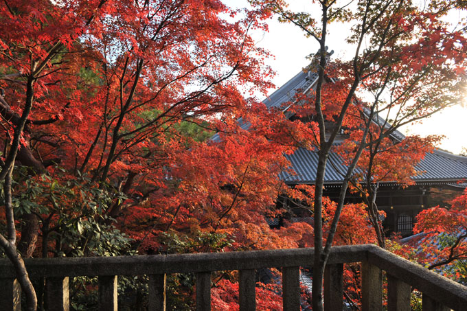 DSC_1407_Kyoto_Eikando-Zenrinji