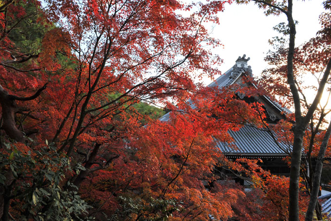 DSC_1416_Kyoto_Eikando-Zenrinji