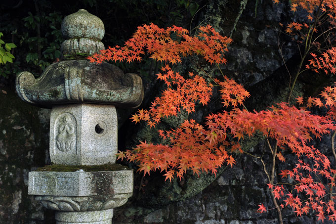 DSC_1418_Kyoto_Eikando-Zenrinji
