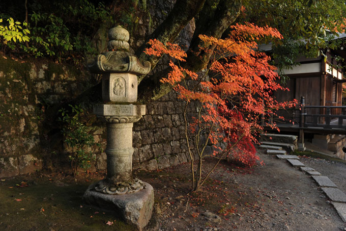 DSC_1437_Kyoto_Eikando-Zenrinji