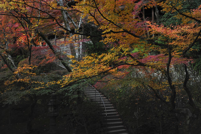 DSC_1463_Kyoto_Eikando-Zenrinji