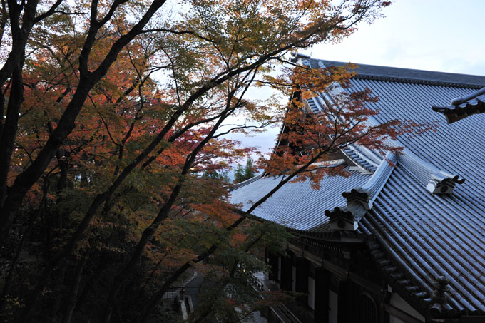 DSC_1488_Kyoto_Eikando-Zenrinji