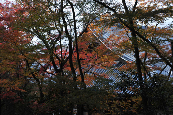 DSC_1493_Kyoto_Eikando-Zenrinji