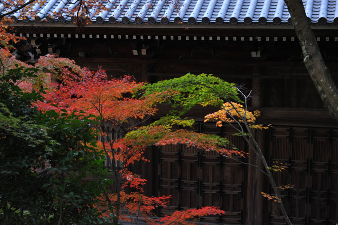 DSC_1504_Kyoto_Eikando-Zenrinji