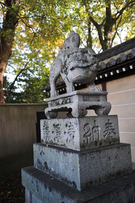 DSC_1565_Kyoto_KitanoTenmanguShrine
