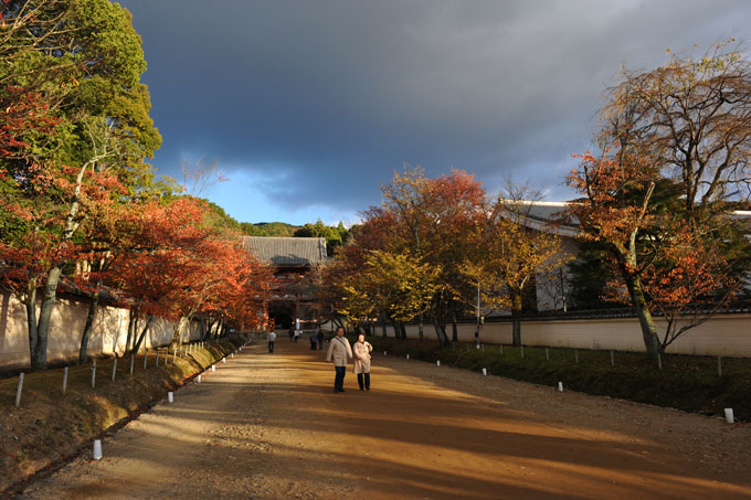 DSC_1627_Kyoto_DaigoJi