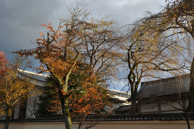 DSC_1628_Kyoto_DaigoJi
