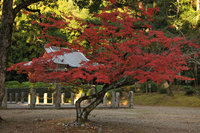 DSC_1635_Kyoto_DaigoJi