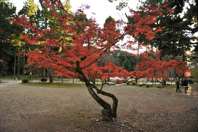 DSC_1641_Kyoto_DaigoJi