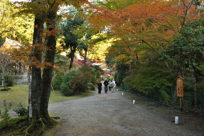 DSC_1650_Kyoto_DaigoJi