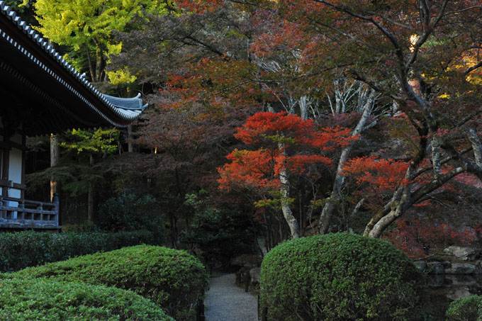 DSC_1663_Kyoto_DaigoJi