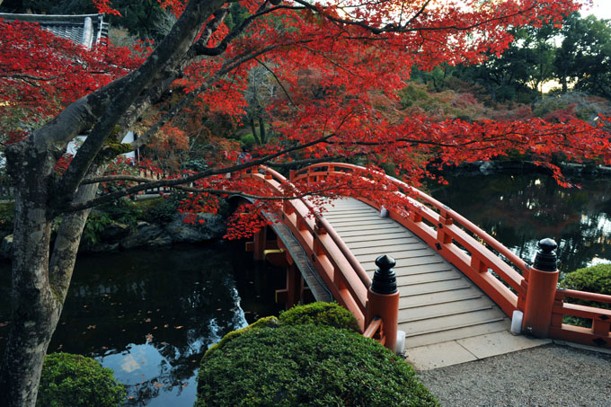 DSC_1677_Kyoto_DaigoJi