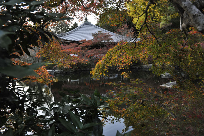 DSC_1691_Kyoto_DaigoJi