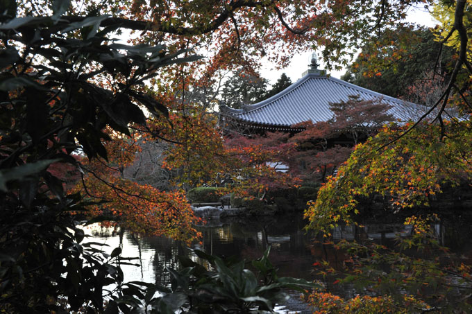 DSC_1693_Kyoto_DaigoJi