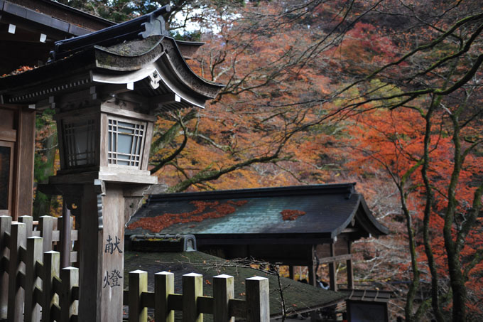 DSC_1744_Kyoto_Kibune