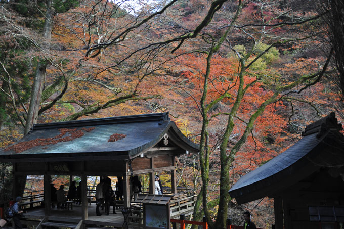 DSC_1751_Kyoto_Kibune
