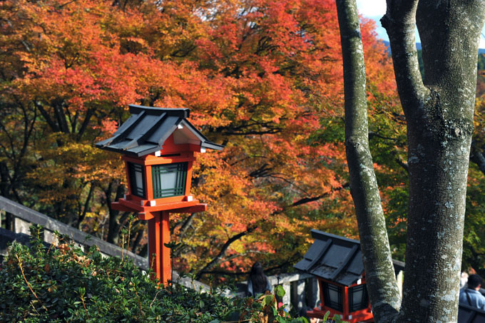 DSC_1837_Kyoto_Kurama