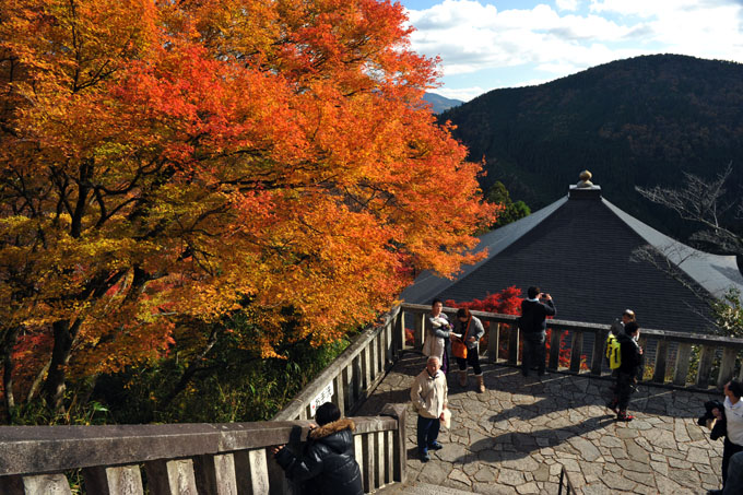 DSC_1848_Kyoto_Kurama