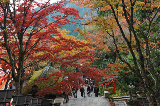 DSC_1860_Kyoto_Kurama