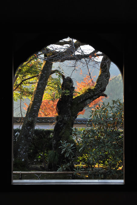 DSC_1908_Kyoto_Ohara