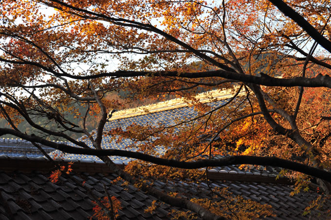 DSC_1913_Kyoto_Ohara