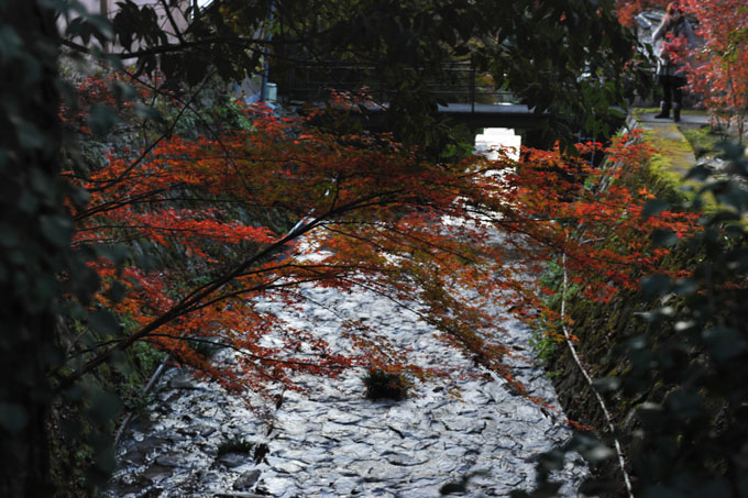 DSC_1926_Kyoto_Ohara