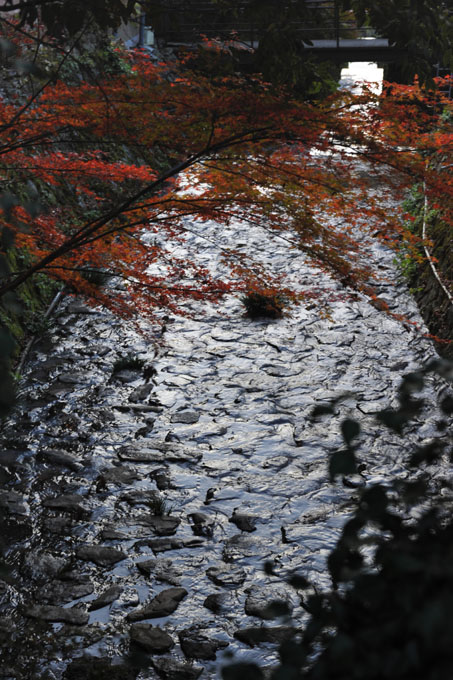 DSC_1927_Kyoto_Ohara
