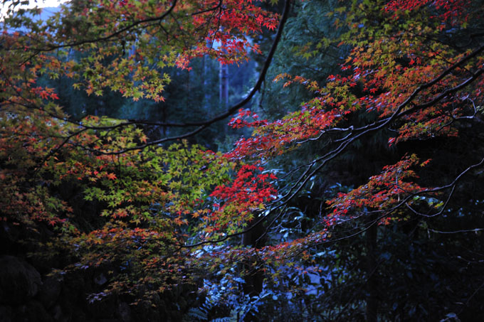 DSC_1928_Kyoto_Ohara